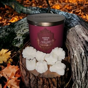 Pumpkin Apple | Wax Melts | Bath and Body Works